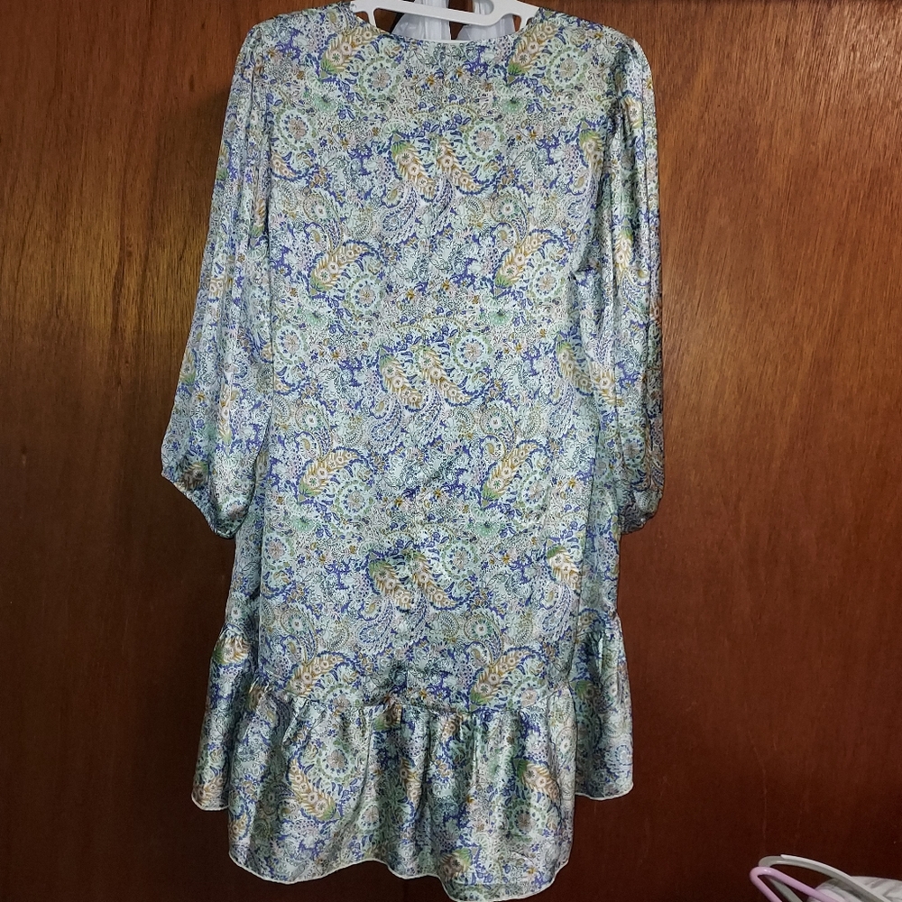Zara Dress - Picture 3 of 5